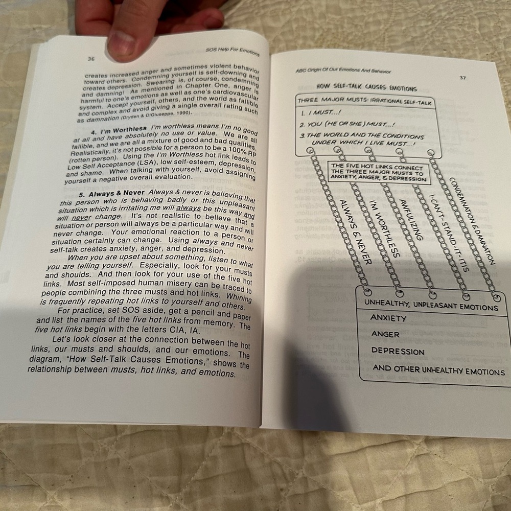 SOS Help for Emotions- Managing anxiety, anger, and depression - Picture 5 of 10